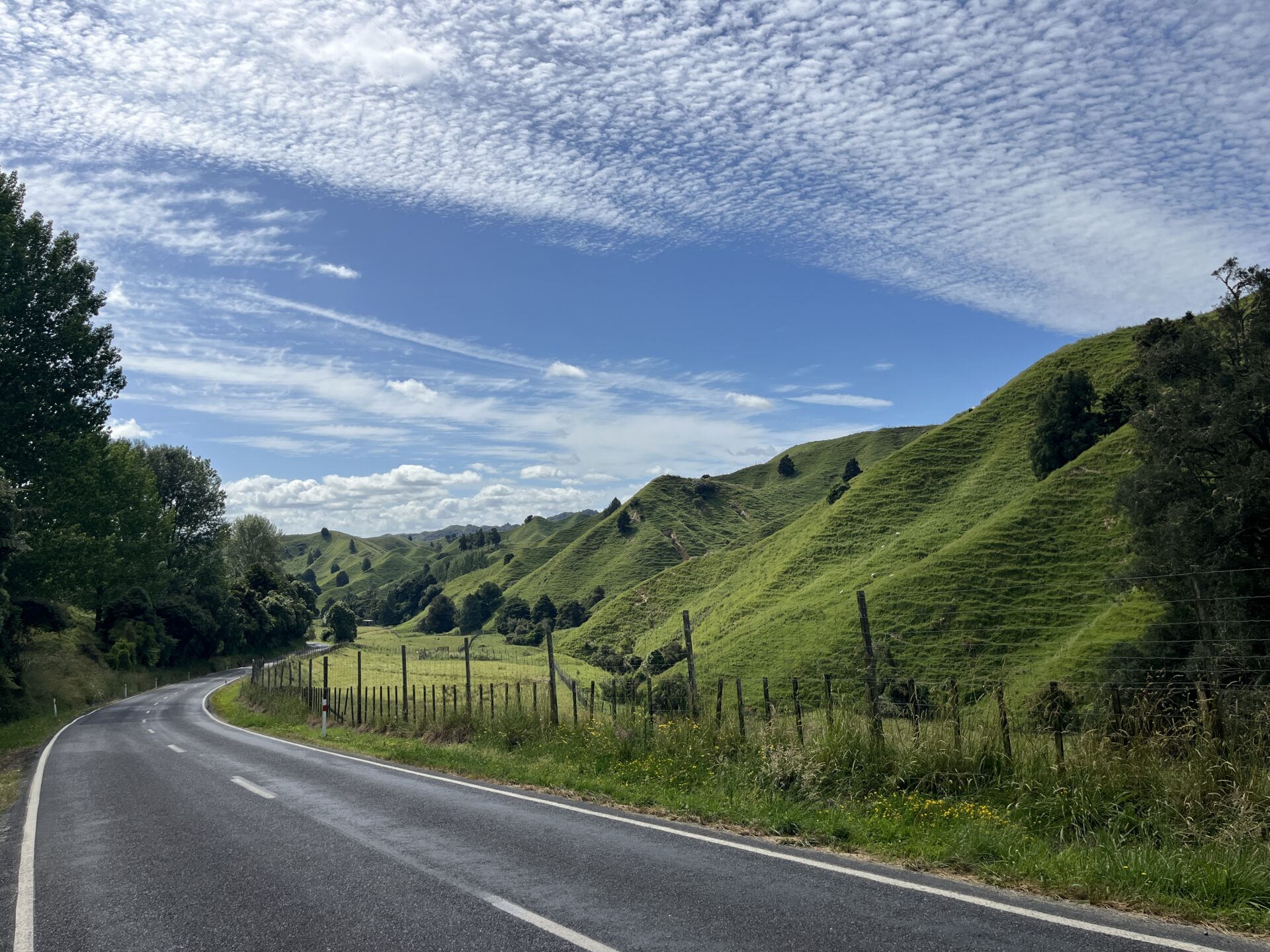 Forgotten World Highway